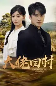 大佬回村：从城市精英到乡村领袖的励志传奇