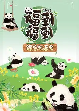 《福到福到福宝见面会》：熊猫顶流福宝回家啦！超萌见面会全程回顾与感动瞬间