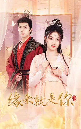 《缘来就是你》：命中注定的爱情？一场啼笑皆非的寻爱之旅，结局意想不到！