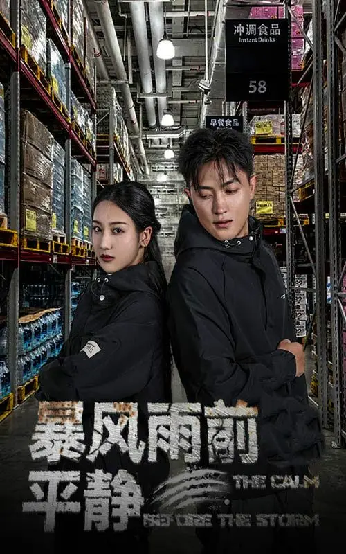 《暴风雨前的平静》：悬疑惊悚来袭，平静背后隐藏的惊天秘密！