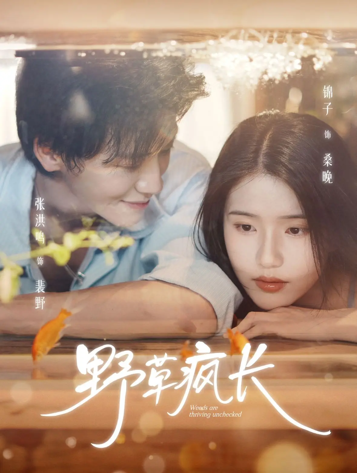 《野草疯长》：风雨飘摇民国，一曲禁忌爱恋史诗，看命运如何挣扎