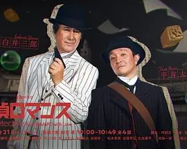 《侦探罗曼史》：一场跨越时空的爱恋，当霸道总裁遇上独立女记者，悬疑剧情与浪漫邂逅的极致碰撞